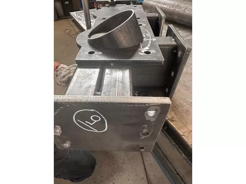 Immagine WhatsApp 2025-07-09 ore 17.34.02_04a7a667.webp